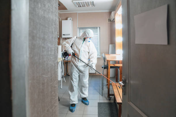 Best Dehumidification Services  in Wiggins, CO