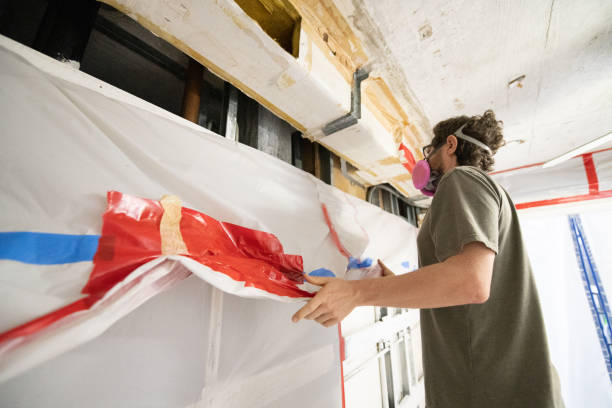 Best Mold Documentation for Insurance Claims  in Wiggins, CO