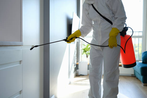 Best Air Quality Testing for Mold Spores  in Wiggins, CO