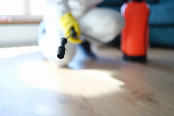 Best Commercial Mold Inspection  in Wiggins, CO