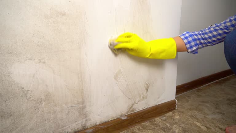 Best Airborne Mold Testing  in Wiggins, CO
