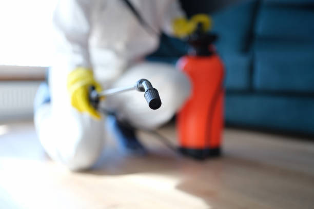 Mold Documentation for Insurance Claims in Wiggins, CO