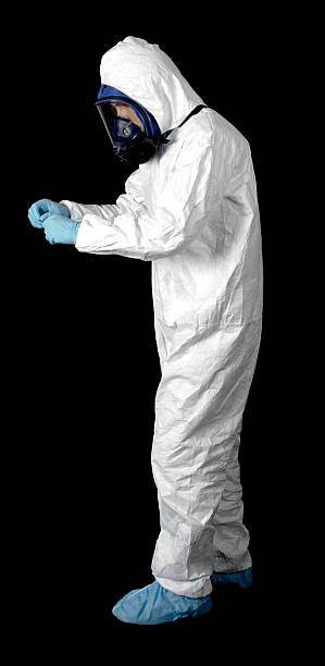 Trusted Wiggins, CO Mold Removal Experts
